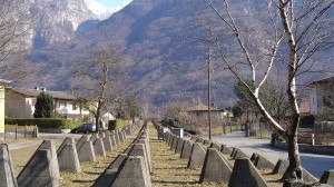 Linea Lona