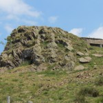 Fortino Davrosio