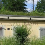 Forte Olimpio