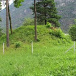 Forte Mairano 4