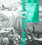La Linea Lona a Lodrino, Flavio Bernardi e Giulio Foletti – 1998-1